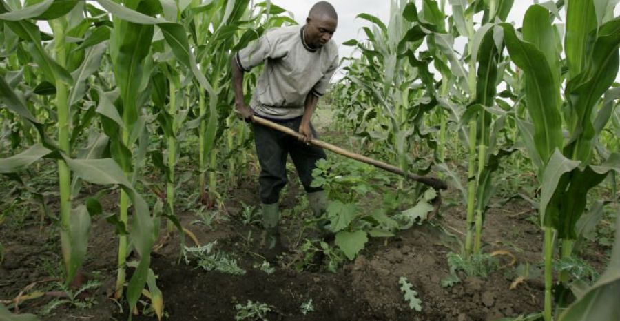 PODCAST : En RDC, le climat impacte les moyens de subsistance des communautés