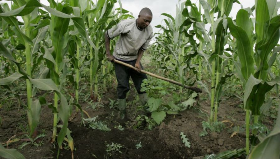 PODCAST : En RDC, le climat impacte les moyens de subsistance des communautés