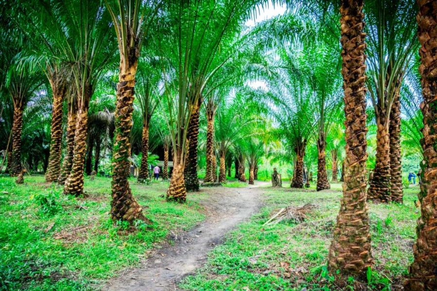 Kasaï Oriental : Dix sites touristiques abandonnés à leur triste sort