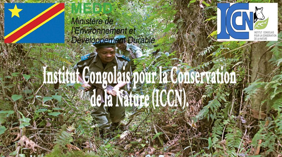 Prise en charge des parcs : L’ICCN exige sa part dans la prochaine Loi des Finances