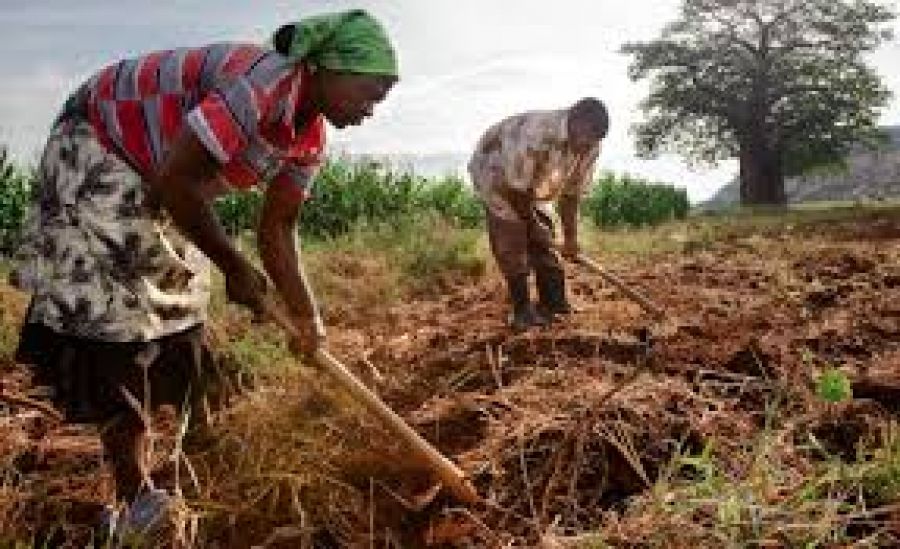 Maniema : Des cas de malnutrition sévère décelés chez des enfants de moins de 5 ans