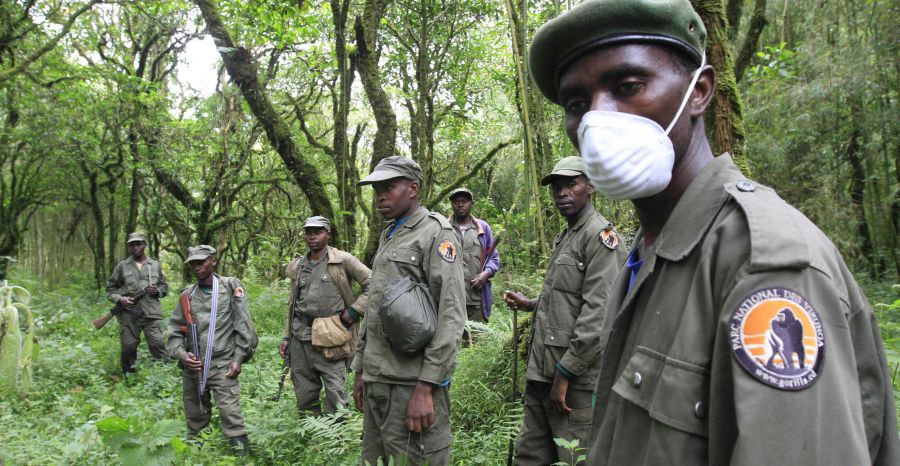 DRC-Virunga: An ecoguard killed on duty by a rebel group