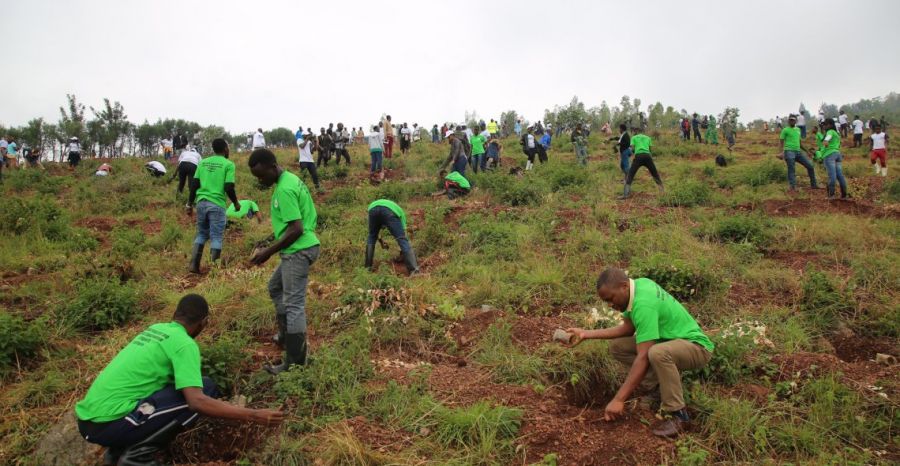 Science must back initiatives to restore Africa’s forests, say experts