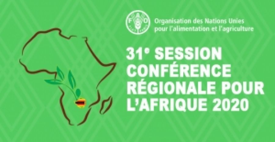 FAO- Regional Conference for Africa : Impacts of COVID-19 on food security and nutrition