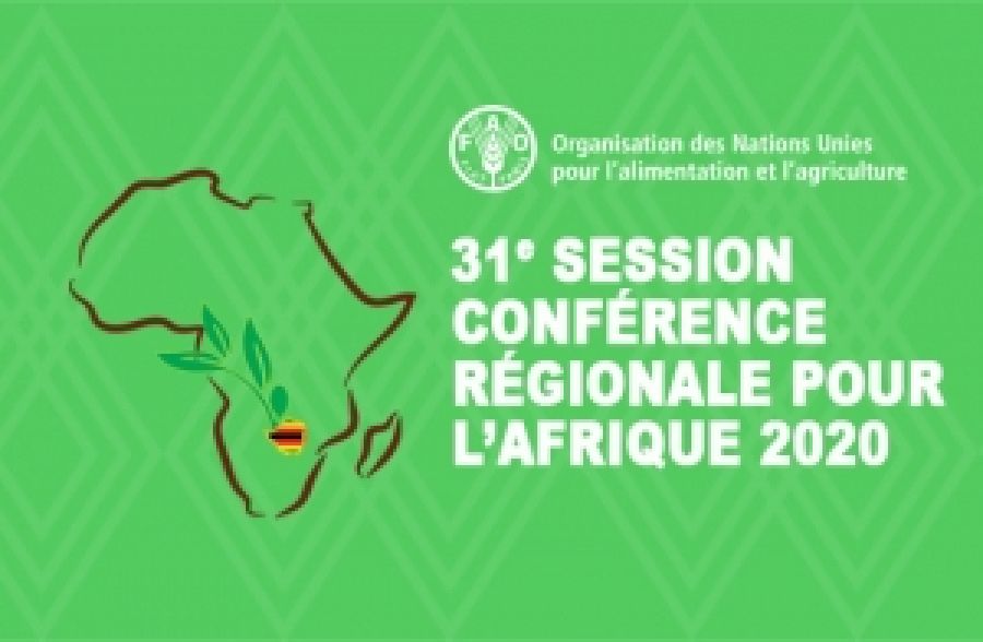 FAO- Regional Conference for Africa : Impacts of COVID-19 on food security and nutrition